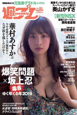 电视连续剧狂飙全集